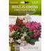 Импатиенс двоен Микс Impatiens balsamina
