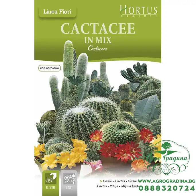 Кактуси Микс Cactaceae