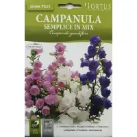 Кампанула Микс Campanula grandiflora