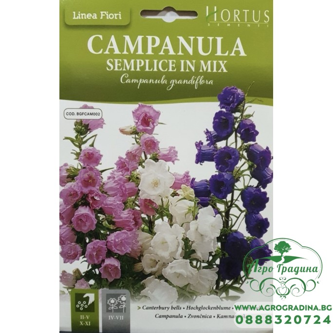 Кампанула Микс / Campanula grandiflora