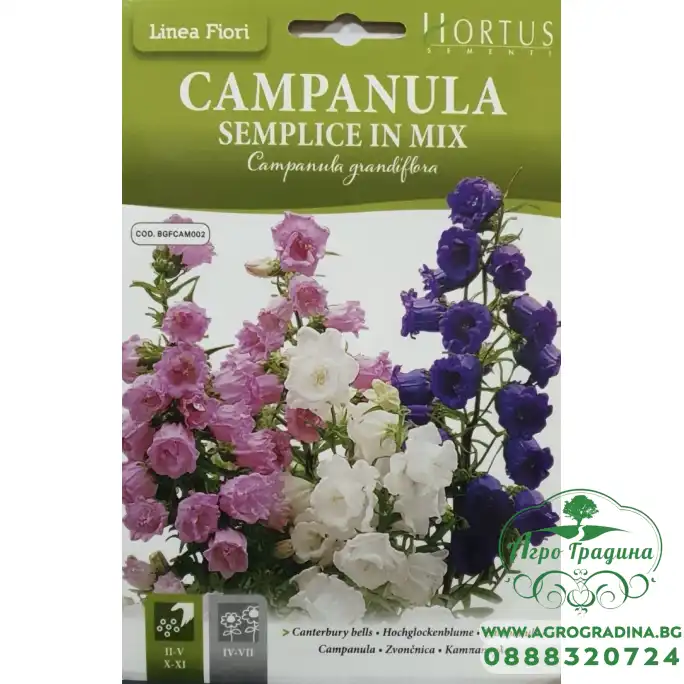 Кампанула Микс Campanula grandiflora