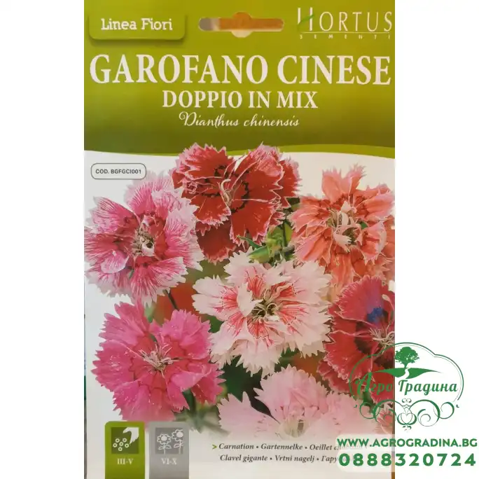 Карамфил Китайски Двоен Микс Dianthus chinensis