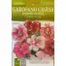 Карамфил Китайски Двоен Микс Dianthus chinensis