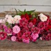 Карамфил Китайски Двоен Микс Dianthus chinensis – Саксийни и градински цветя