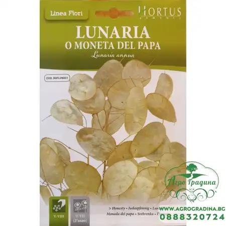 Лунария Lunaria annua