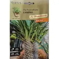 Мадагаскарска палма (Pachypodium lamerei)