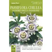 Синя Пасифлора Passiflora Cerulea