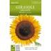 Слънчоглед Жълт Гигант / Helianthus annuum