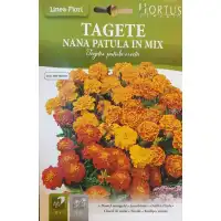 Тагетес Френски Джудже Микс Tagetes patula-erecta