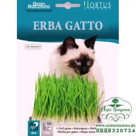 Трева за котки