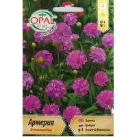 Армерия Armeria maritima