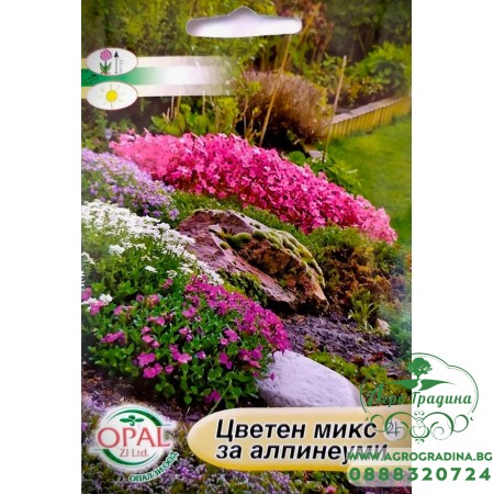 Цветен микс за алпинеуми