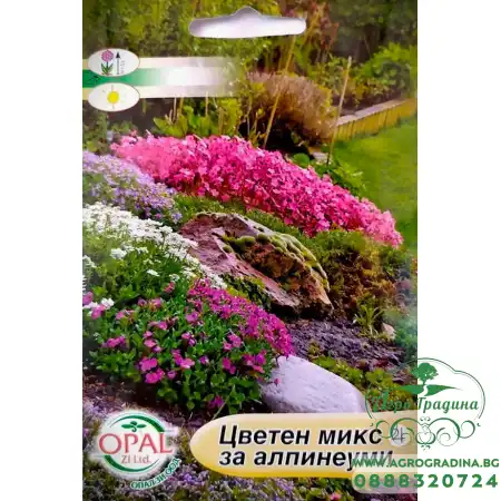Цветен микс за алпинеуми