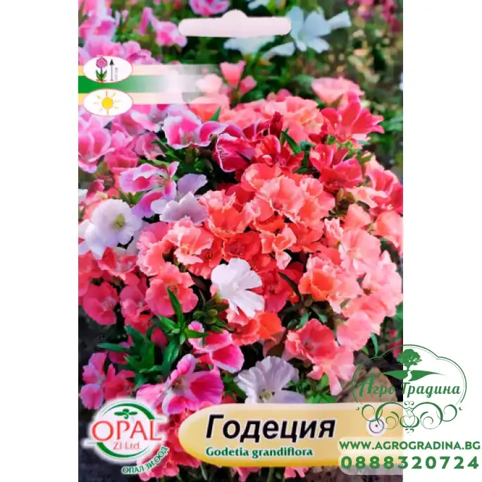 Годеция Микс Godetia grandiflora