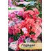 Годеция Микс Godetia grandiflora
