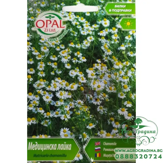 Медицинска лайка Matricaria chamomilla