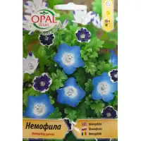 Немофила Микс / Nemophila species