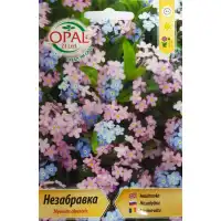 Незабравка Myosotis alpestris