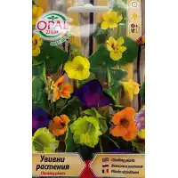 Увивни растения Микс Climbing plants