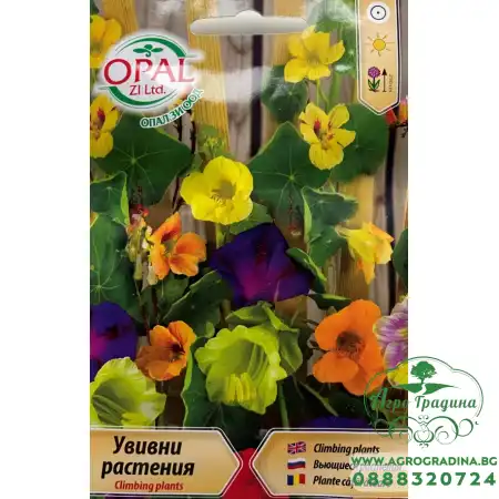Увивни растения Микс Climbing plants