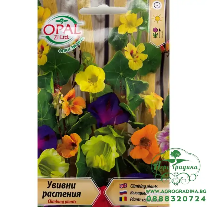 Увивни растения Микс Climbing plants