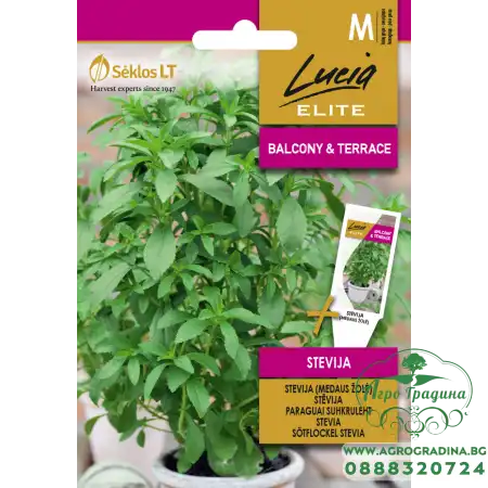 Стевия / Stevia rebaudiana