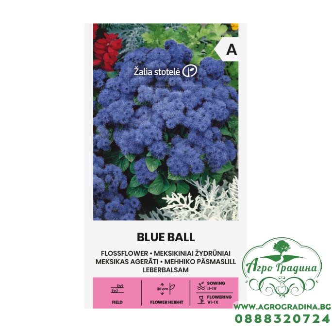 Агератум Blue Ball
