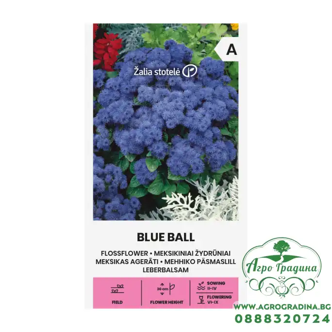 Агератум Blue Ball Агератум Blue Ball