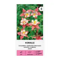Аквилегия (Кандилка) Корал Koralle