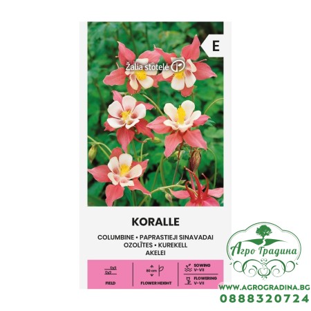 Аквилегия (Кандилка) Корал Koralle