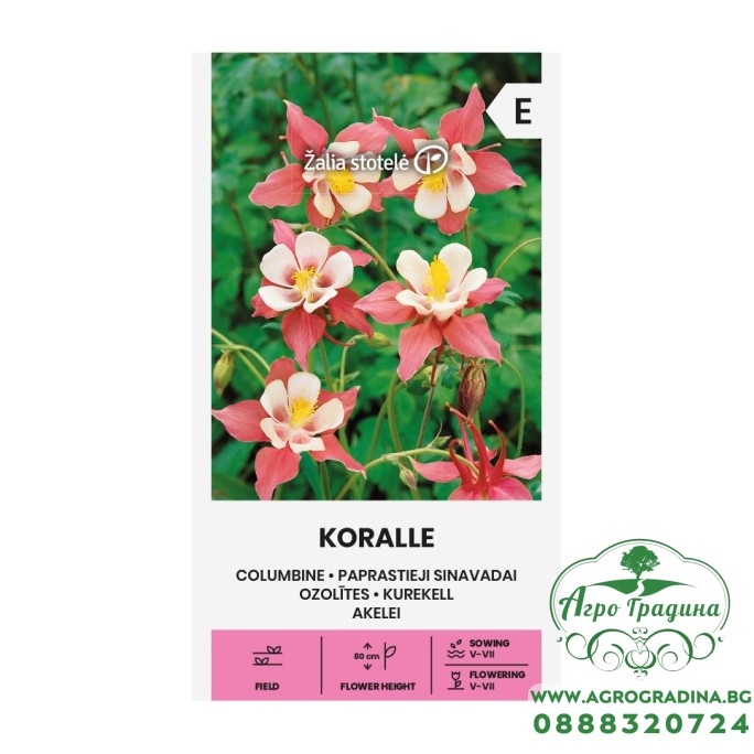 Аквилегия (Кандилка) Корал Koralle