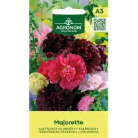 Алцея кичеста Микс Мажоретка Alcea rosea L