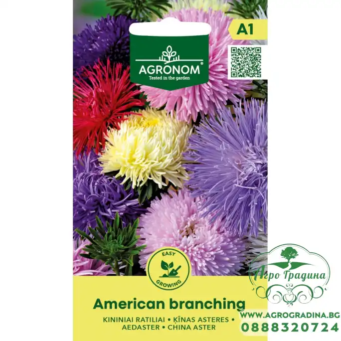 Астри Микс Американ Брънчинг Callistephus chinensis L Ness American branching