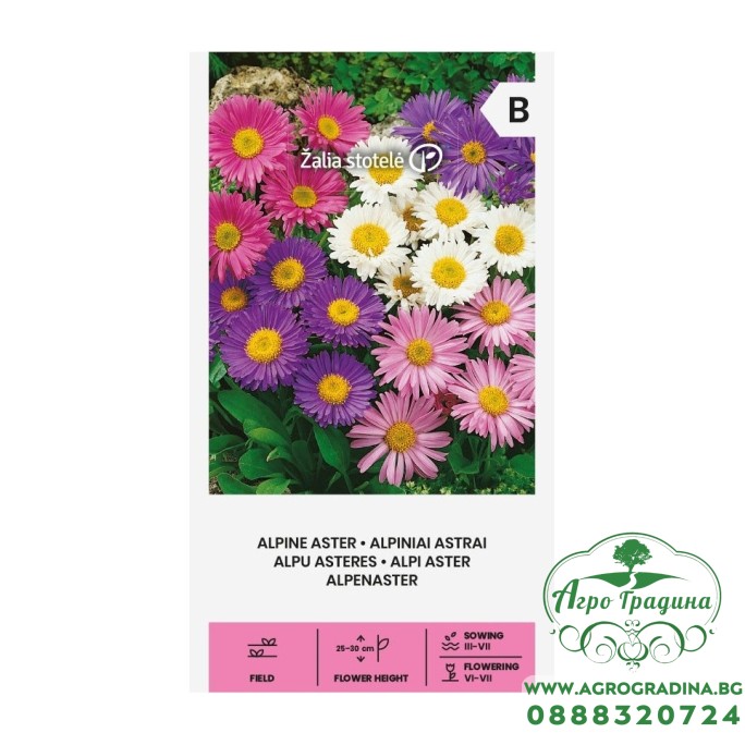 Астри Алпийски Микс Aster alpinus L Астри Алпийски Микс Aster alpinus L