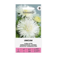 Астри Бели Игловидни Уникум Callistephus chinensis L Ness Unicum