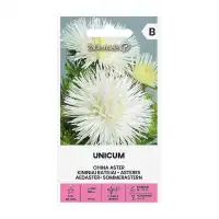 Астри Бели Игловидни Уникум Callistephus chinensis L Ness Unicum