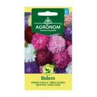 Астри Микс Болеро Callistephus chinensis L Ness Bolero