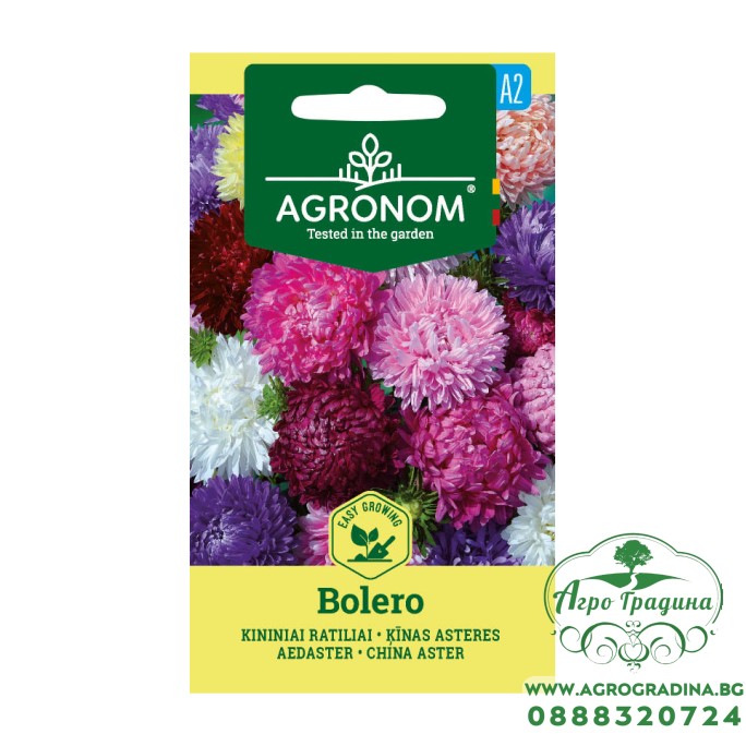 Астри Микс Болеро Callistephus chinensis L Ness Bolero