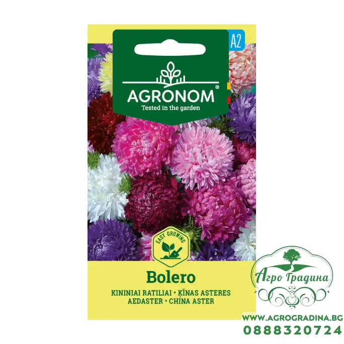Астри Микс Болеро Callistephus chinensis L Ness Bolero
