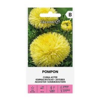 Астри  Жълт Помпон / Callistephus chinensis (L.) Ness