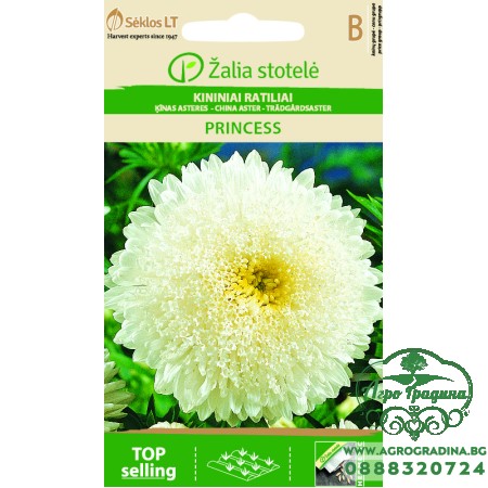 Астри Бяла Принцеса / Callistephus chinensis (L.) Ness