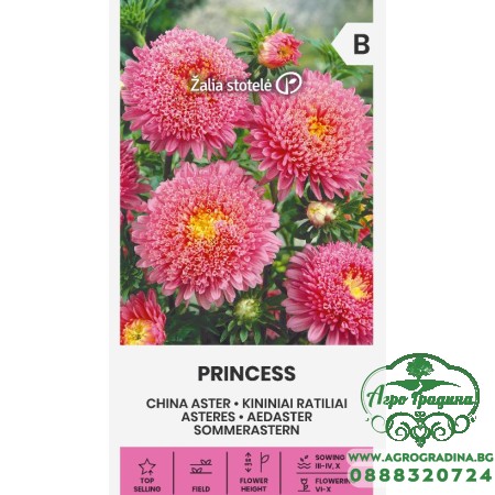 Астри Розова Принцеса Callistephus chinensis L Ness Princess