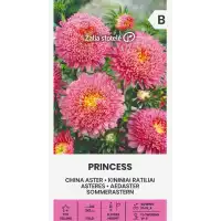 Астри Розова Принцеса Callistephus chinensis L Ness Princess
