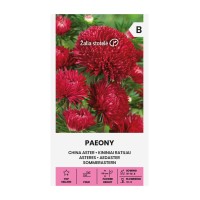 Астри Червени Паеони Callistephus chinensis L Ness Paeony