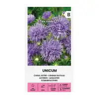 Астри Лилави Игловидни Уникум Callistephus chinensis L Ness Unicum