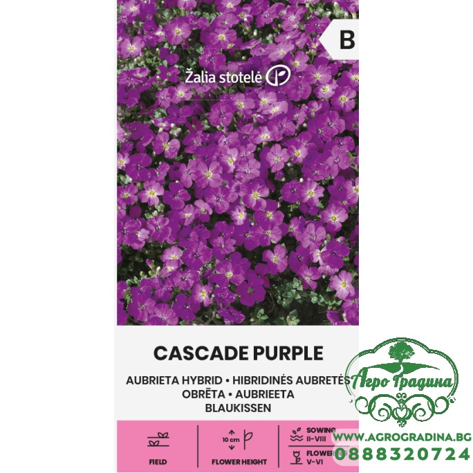 Аубриета Лилава Каскадна Aubrieta hybrida Аубриета Лилава Каскадна Aubrieta hybrida