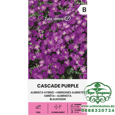 Аубриета Лилава Каскадна Aubrieta hybrida