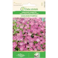 Аубриета Лилава Каскадна Aubrieta hybrida