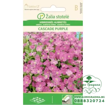 Аубриета Лилава Каскадна Aubrieta hybrida