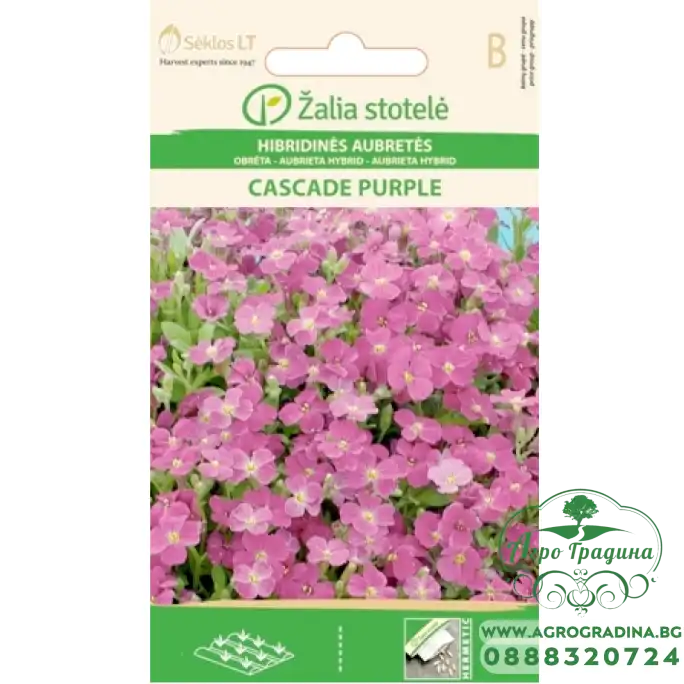 Аубриета Лилава Каскадна Aubrieta hybrida